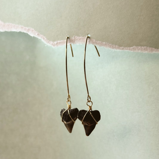 bull shark hanger earrings