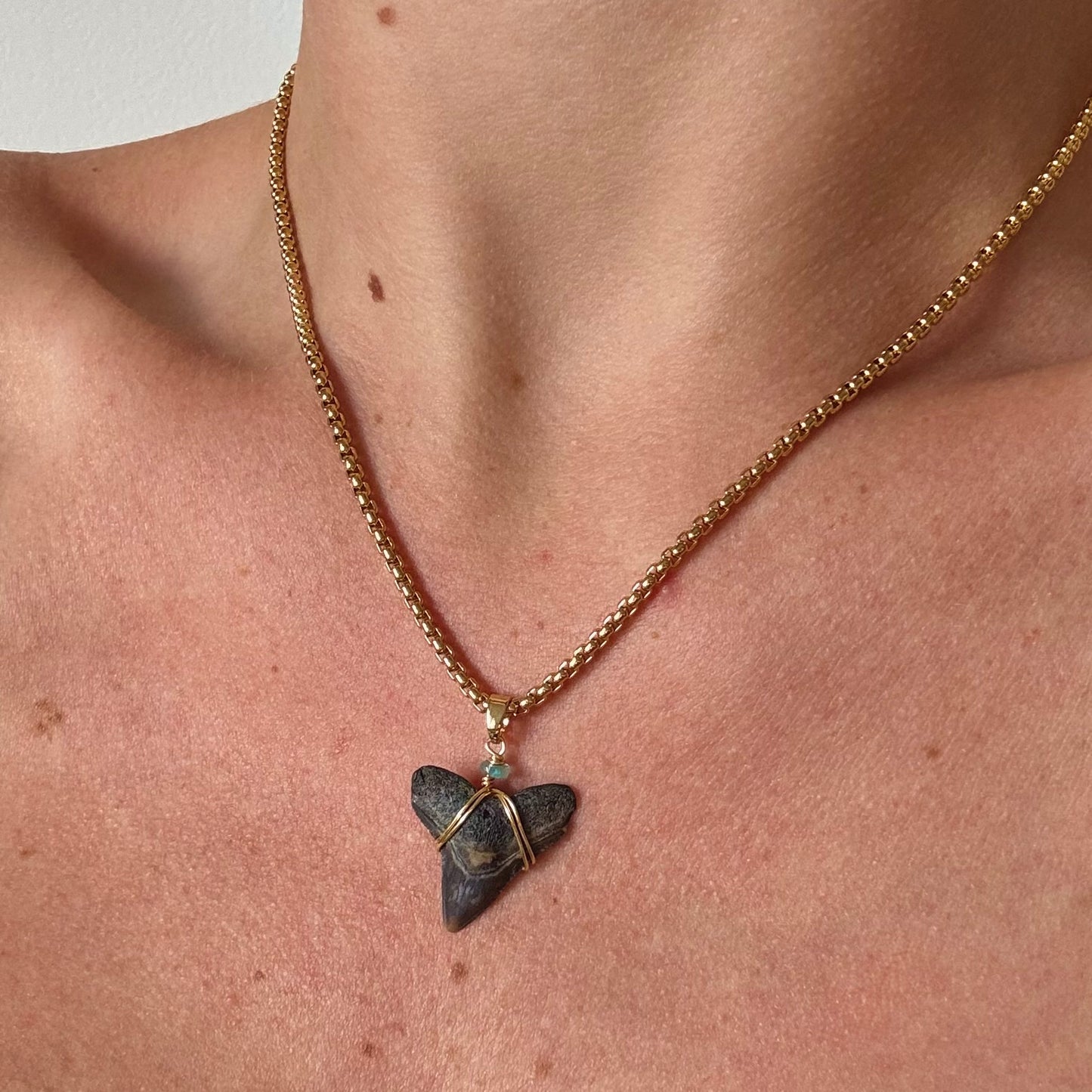 mariner necklace - fossil bull