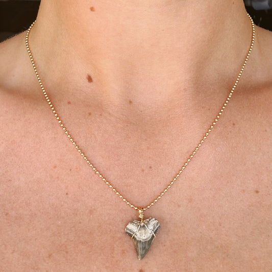 aurelia necklace - bull