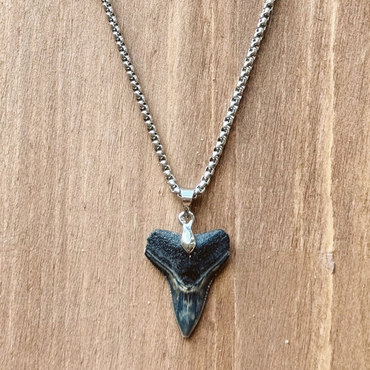 men’s fossil bull necklace