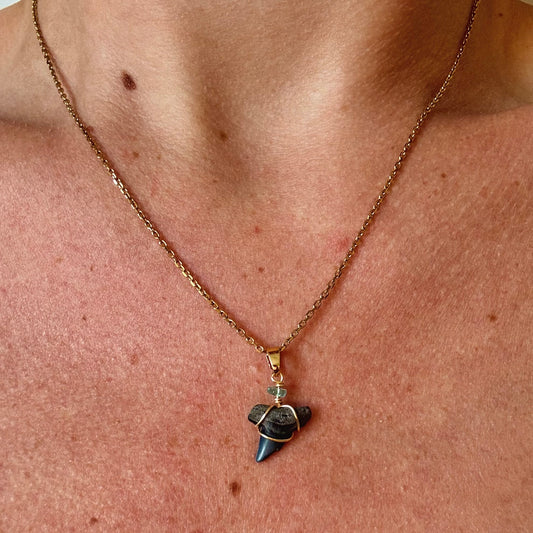 apex necklace - fossil thresher