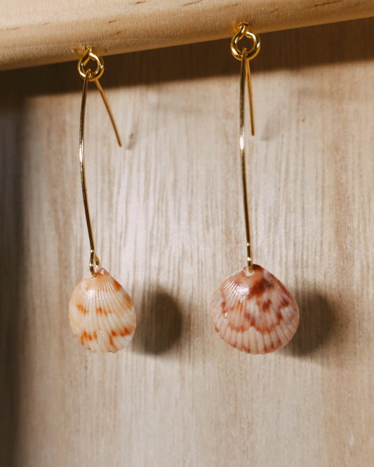 baby seashell earrings