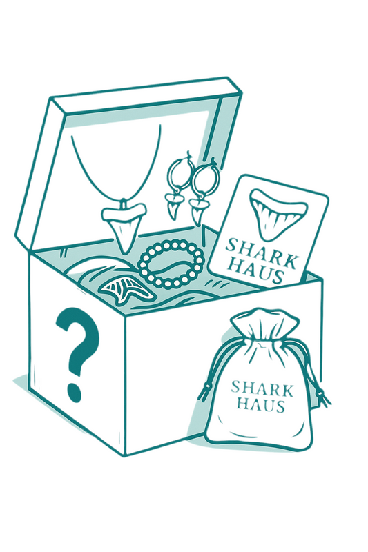 mystery jewelry box SMALL