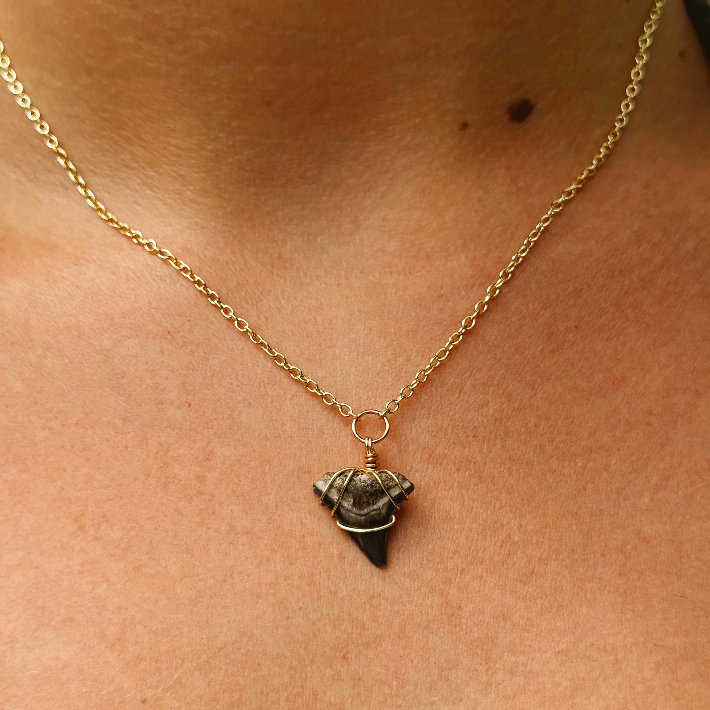 azure necklace - fossil bull