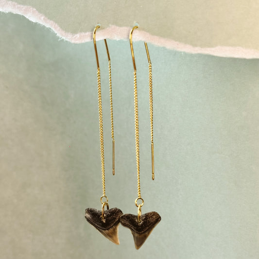 bull shark ear threads