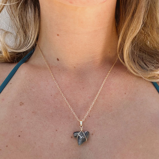 fossil tiger shark pendant necklace