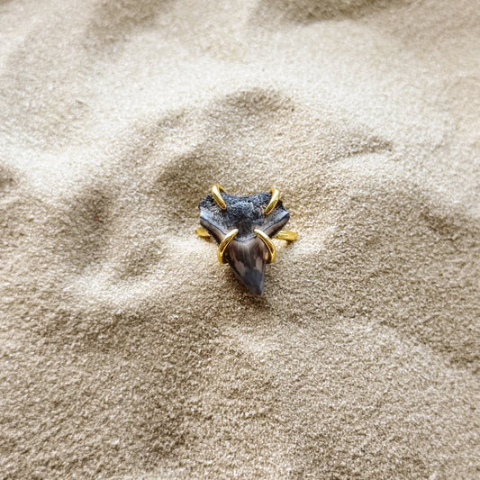 adjustable bull shark ring