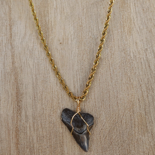 men’s bullshark necklace