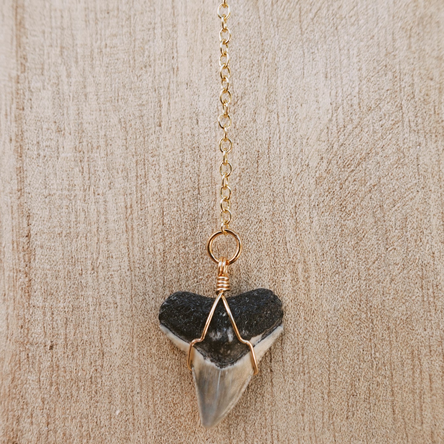 bull shark drop necklace