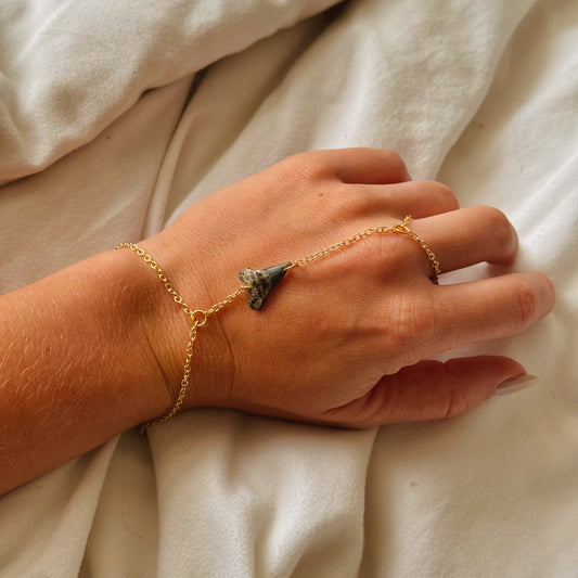 fossil bull shark hand chain