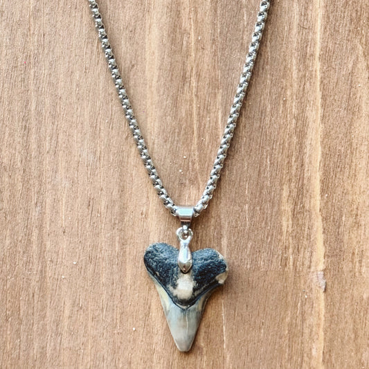 men’s bull shark necklace