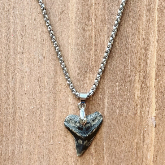 men’s fossil bull necklace