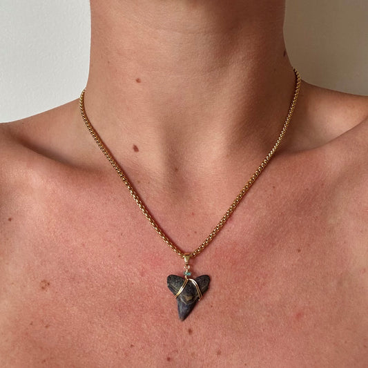 mariner necklace - fossil bull