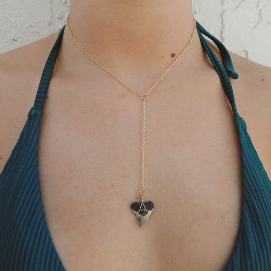 bull shark drop necklace
