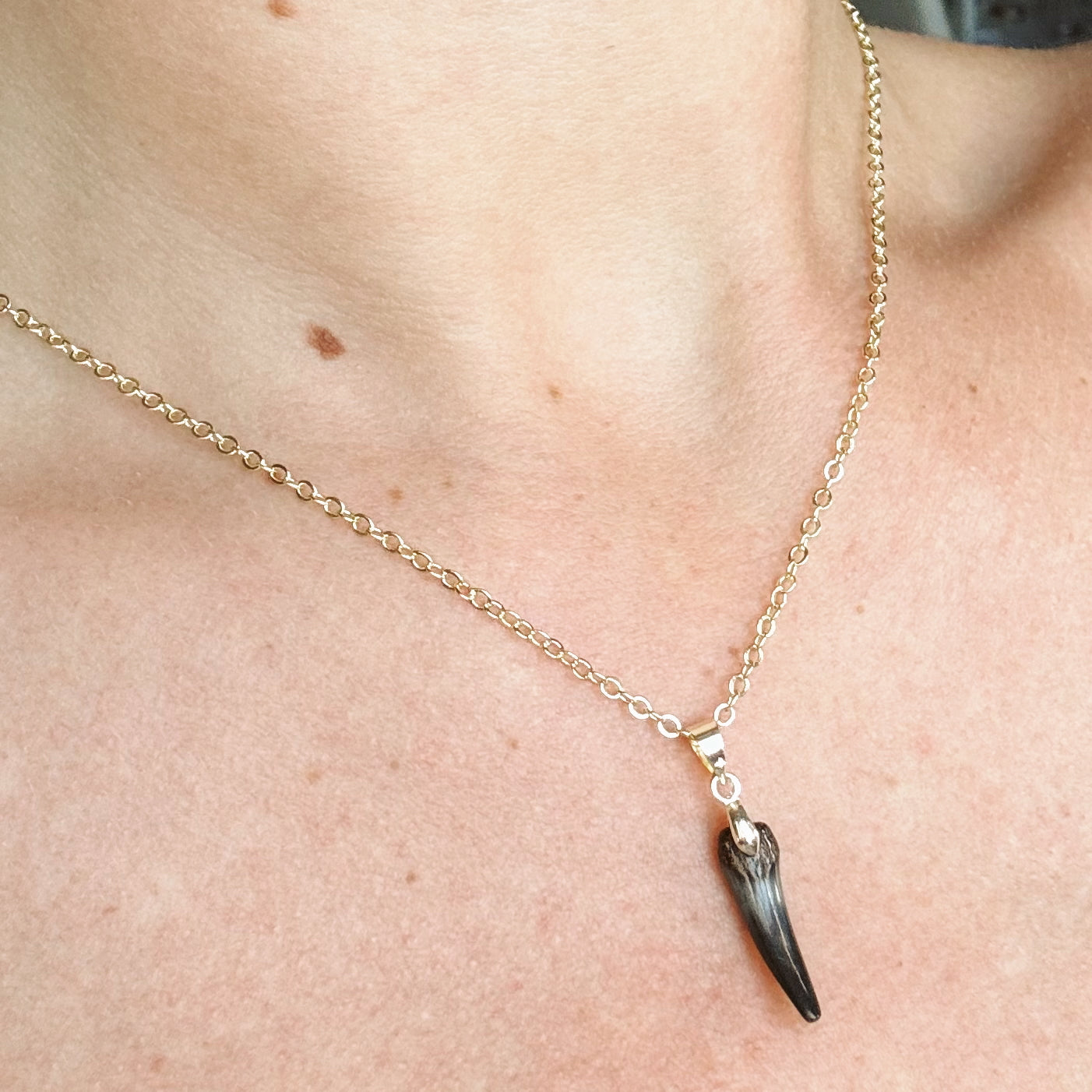 fossil sand tiger pendant necklace
