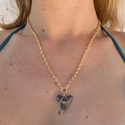 bahama necklace - large fossil bull