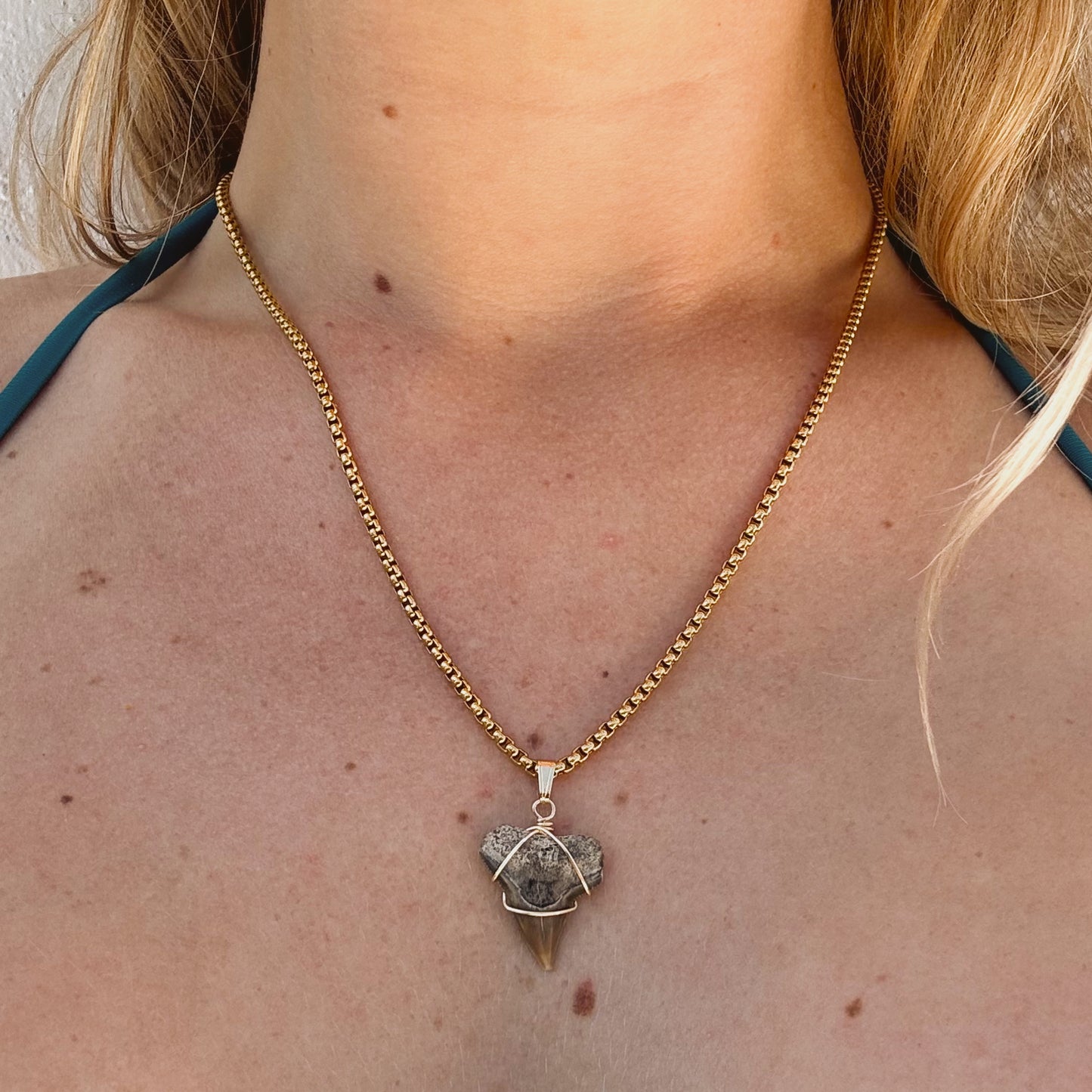 mariner necklace - bull shark