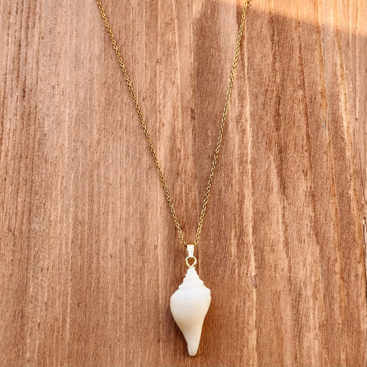 albino florida fighting conch necklace
