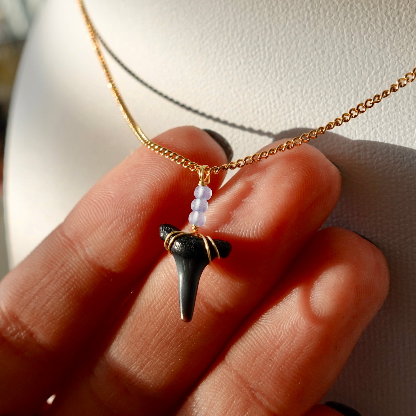 Extinct Sand Tiger Necklace