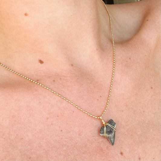 aurelia necklace - fossil bull