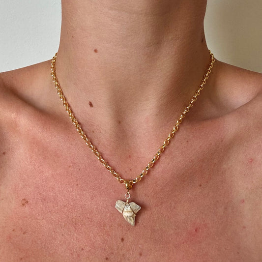 bahama necklace - bull shark