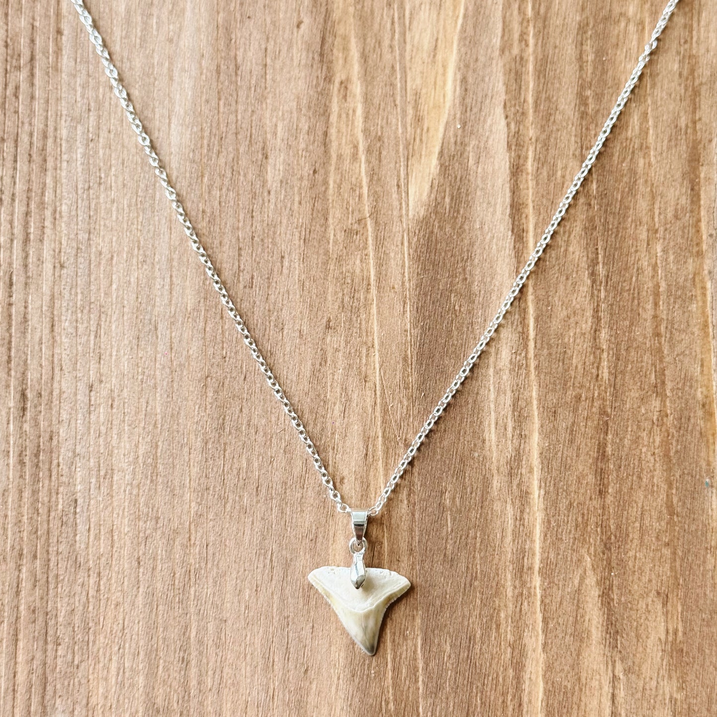 juno necklace - white bull