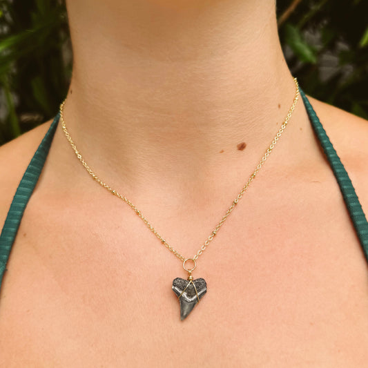 azure necklace - fossil bull