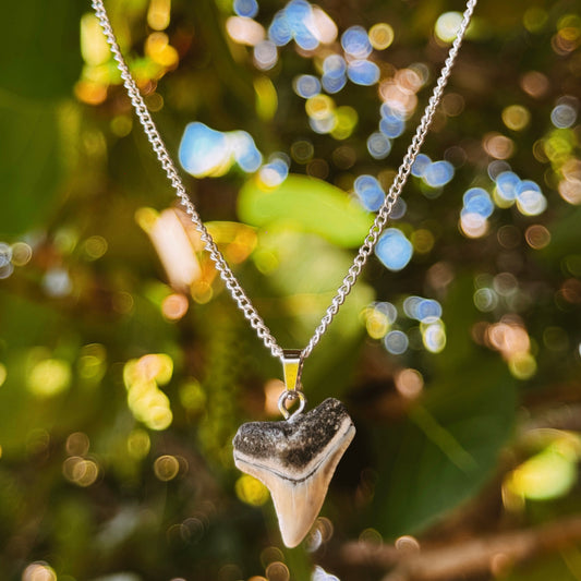 sterling silver bull shark necklace