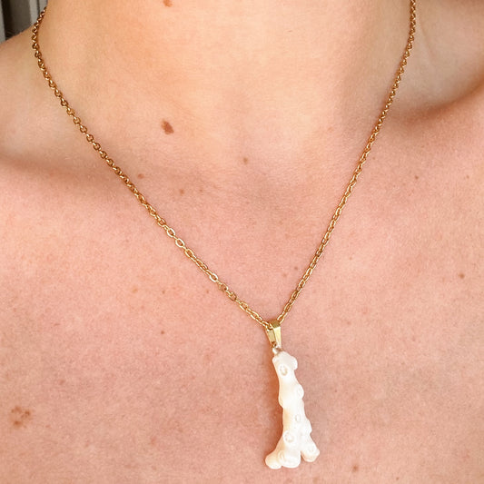 coral fragment necklace
