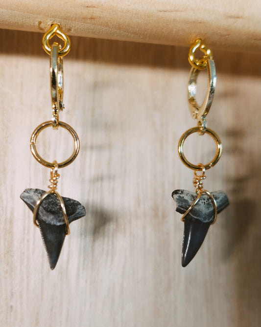 fossil thresher huggies