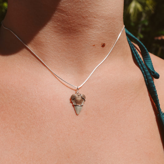 sterling silver bullshark necklace