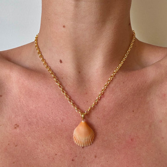 bahama necklace - scallop shell