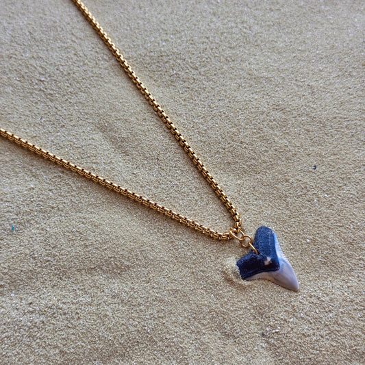 men’s bull shark necklace