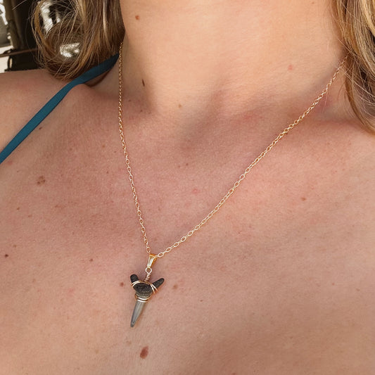 sand tiger pendant necklace