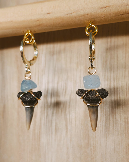 sand tiger earrings