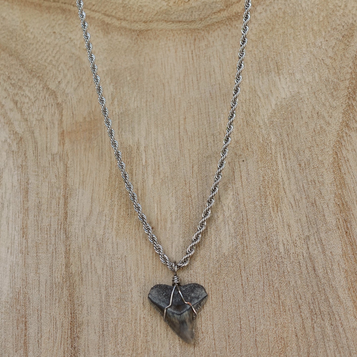 men’s bullshark necklace