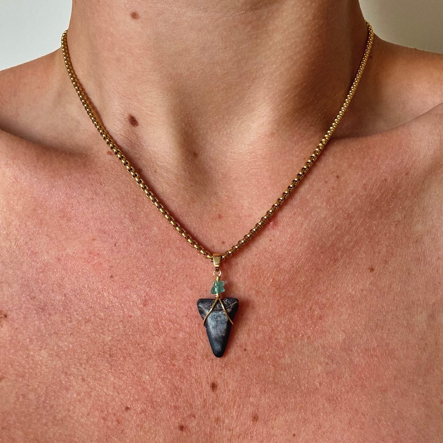 mariner necklace - fossil great white