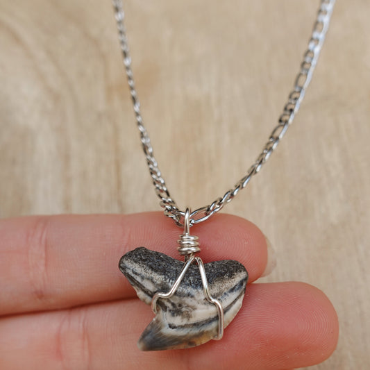 men’s tiger shark necklace