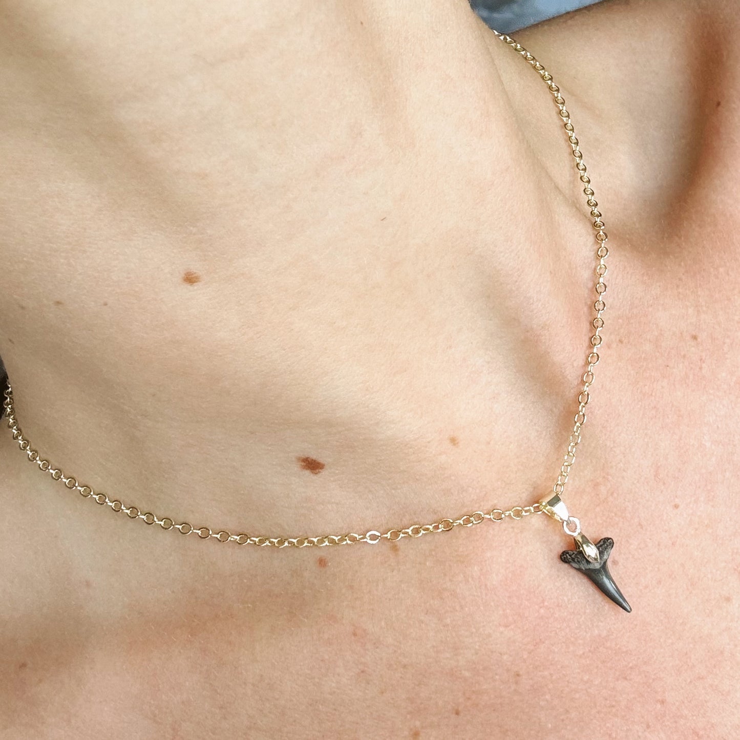 juno necklace - sand tiger