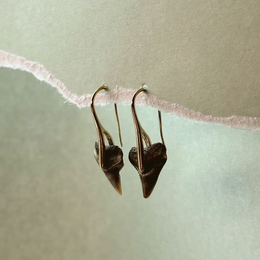 bull shark pendant earrings