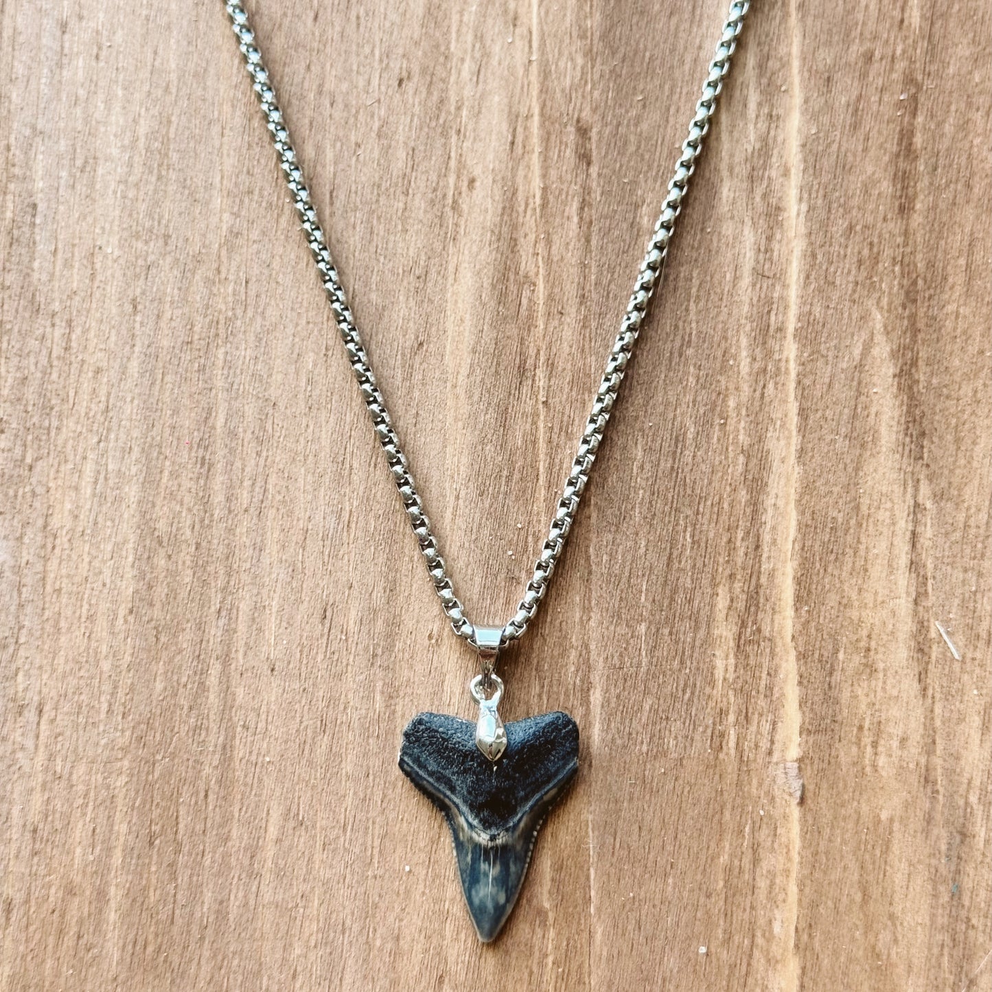 men’s fossil bull necklace