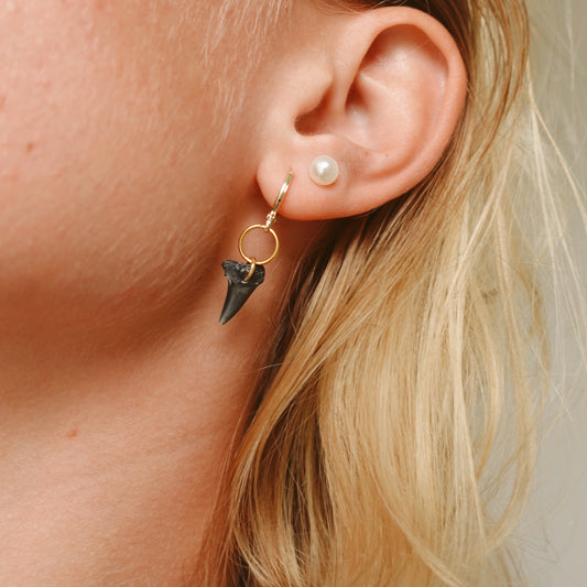 drilled thresher shark earrings