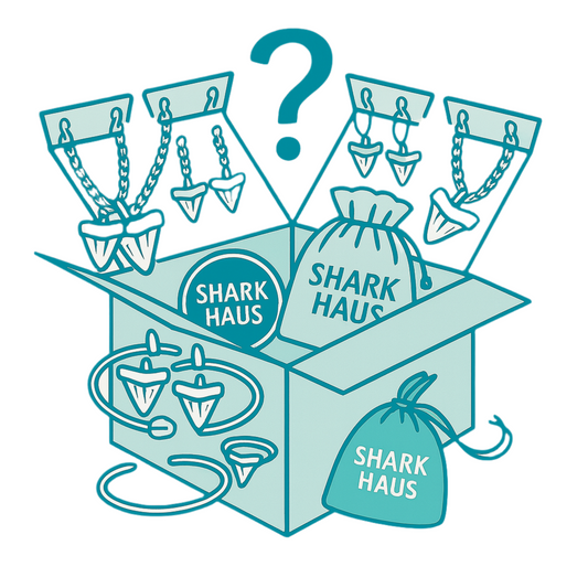 mystery jewelry box MEDIUM