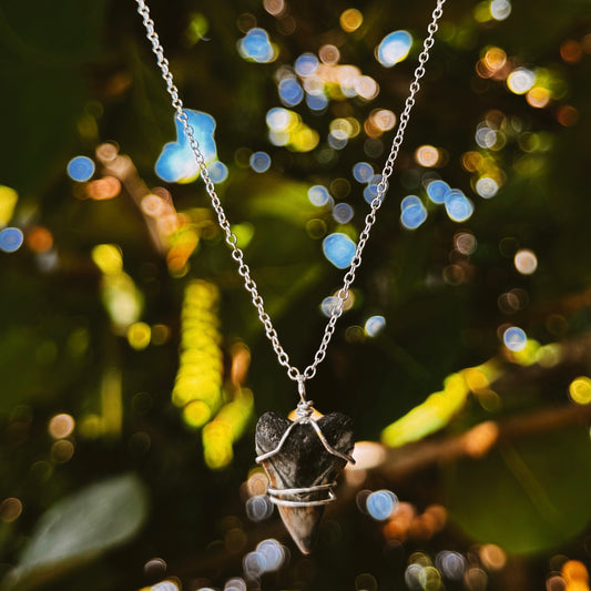 sterling silver bullshark necklace