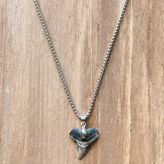 men’s bullshark necklace