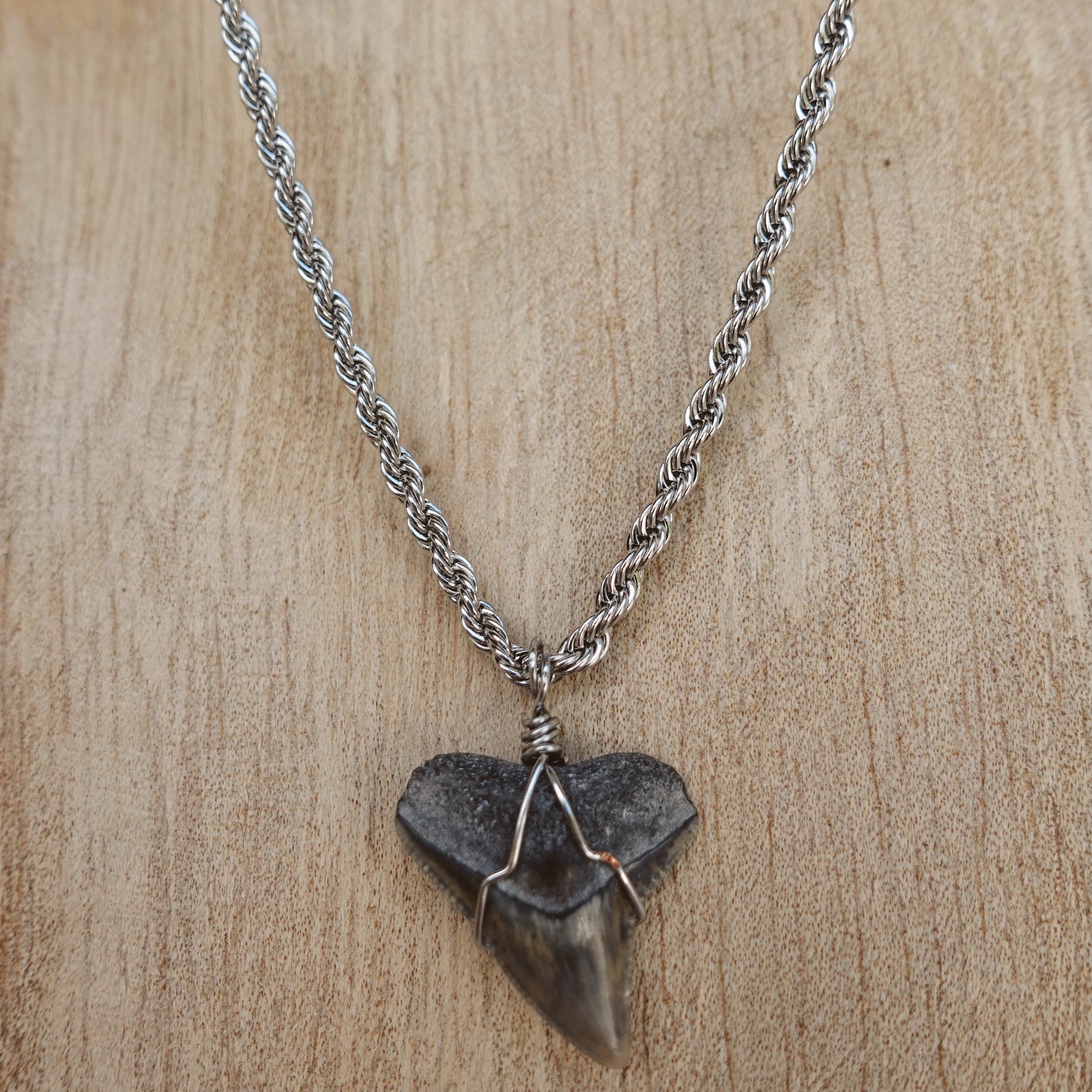 men’s bullshark necklace