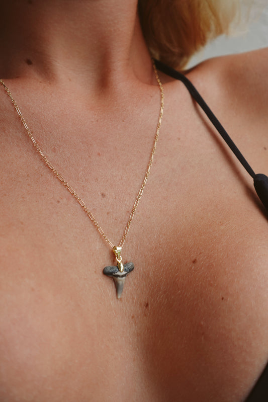 Lemon Shark Pendant Necklace