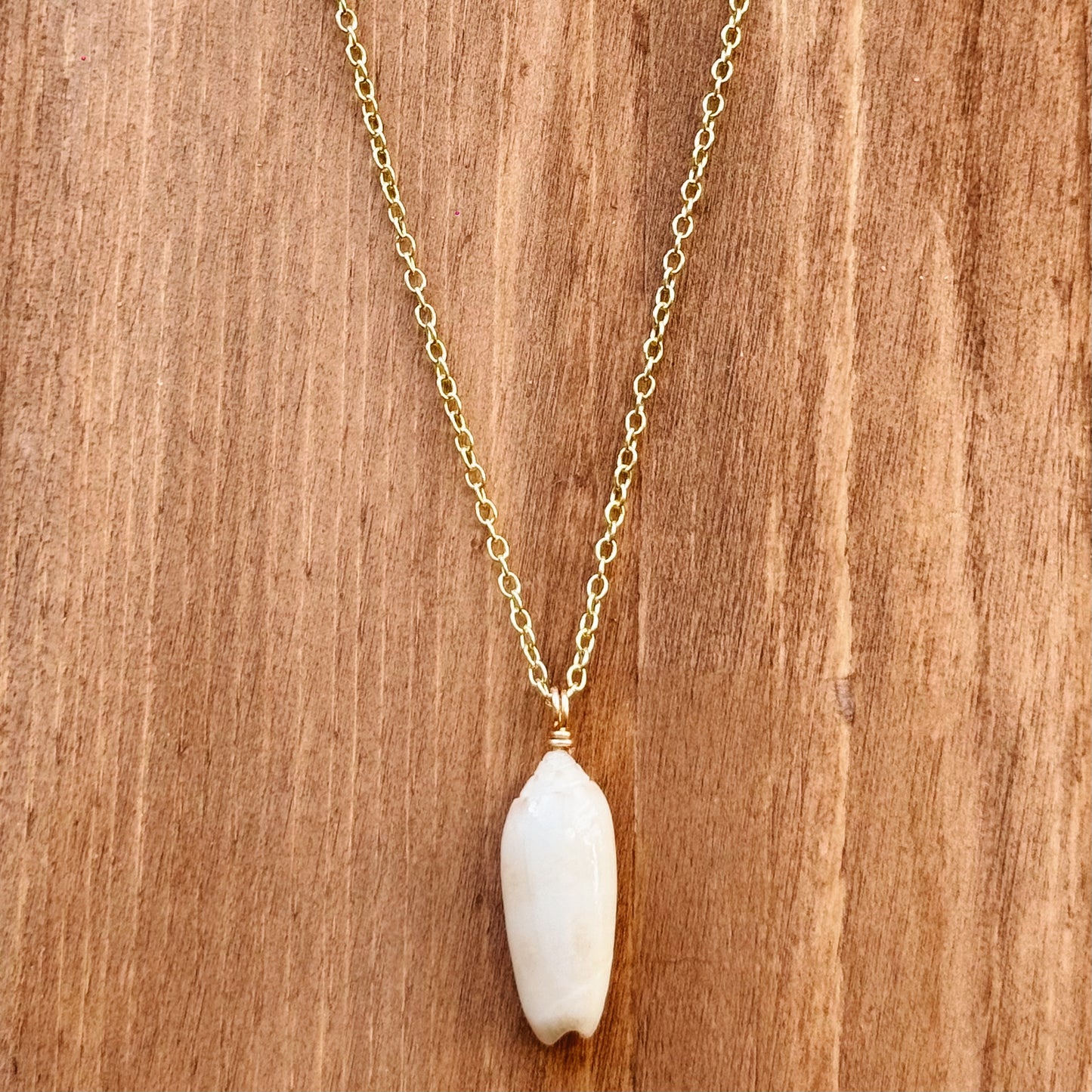 olive shell necklace