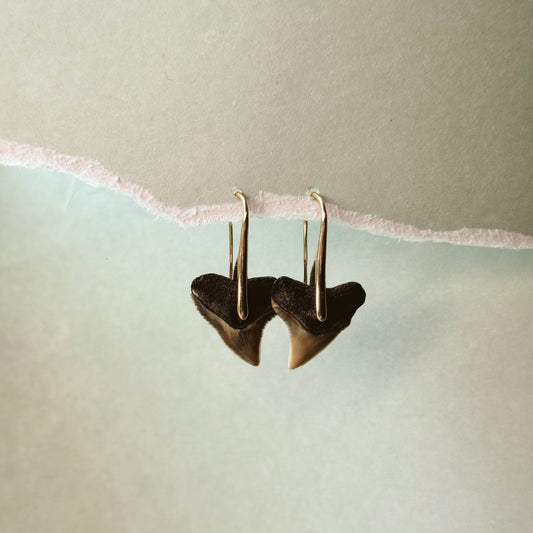 bull shark pendant earrings