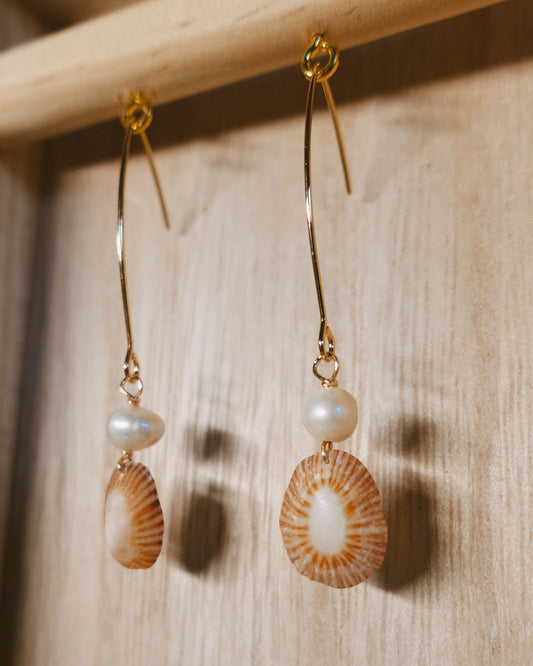limpet shell earrings
